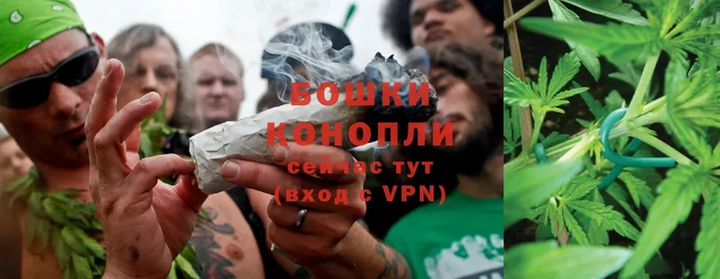 Бошки Шишки SATIVA & INDICA  Вязники 